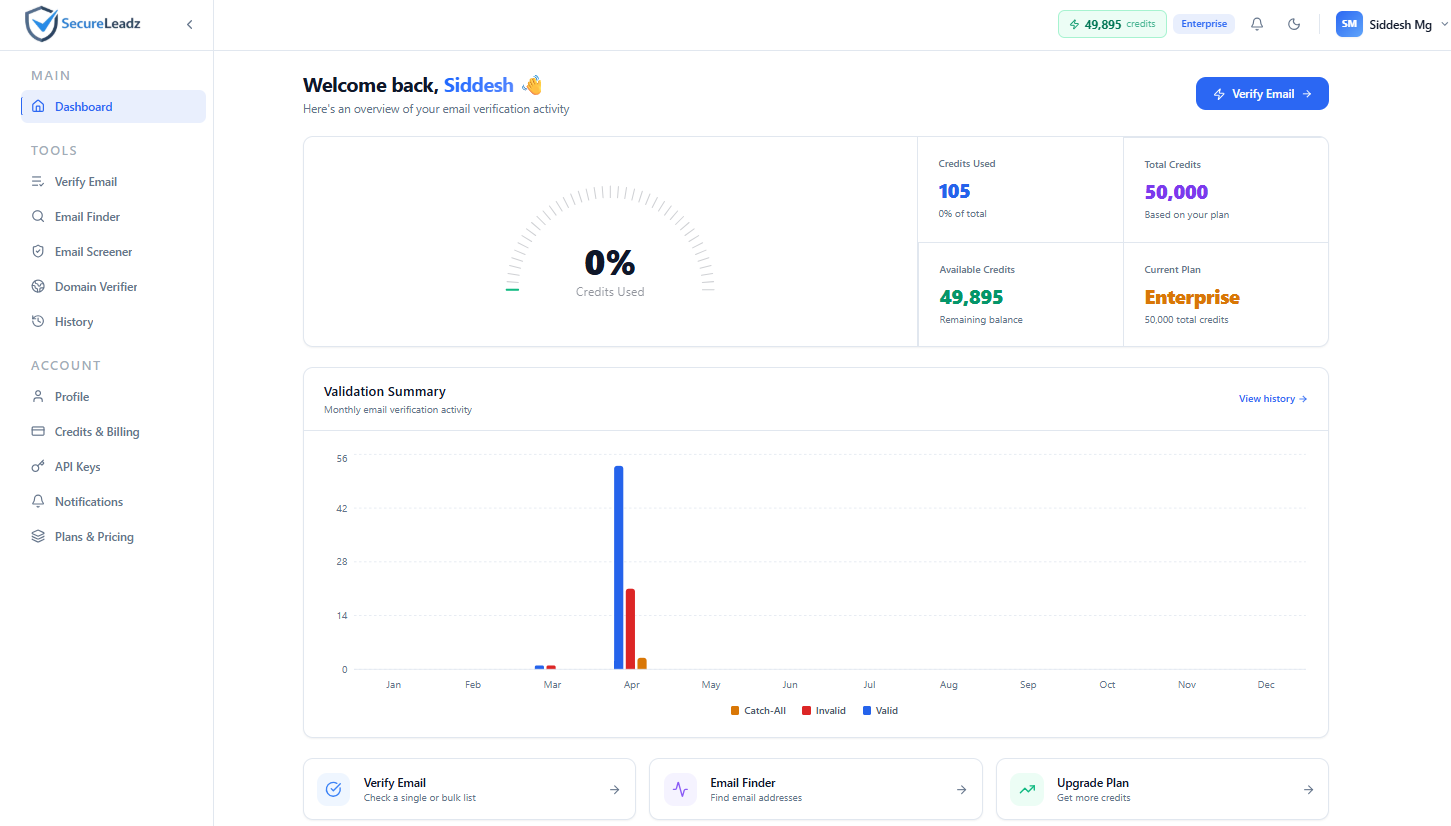 SecureLeadz Dashboard